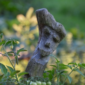 Gartengeist 1