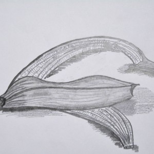 Banane