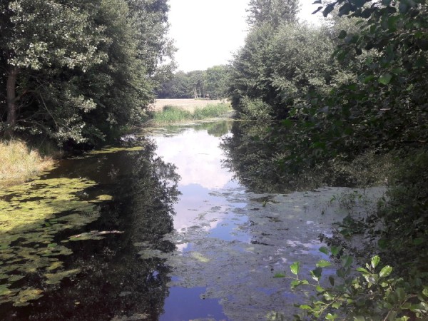 Blick aus der Werkstatt v2