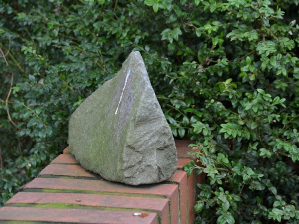 DSC 0010 1200